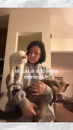 cat sounds