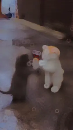 Cute slowmotion 