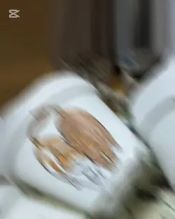 写真6枚で作る動画