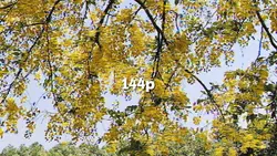 144p to 4k