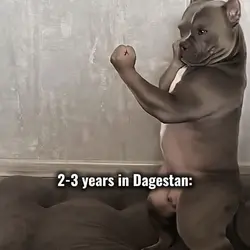 2-3 years Dagestan