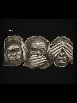 🙉🙊🙈.