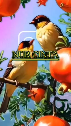 Nur Cinta