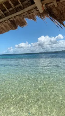 RANDOM VIDEOS