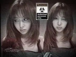 yves