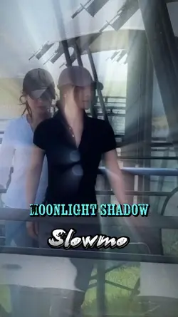 Moonlight Shadow 