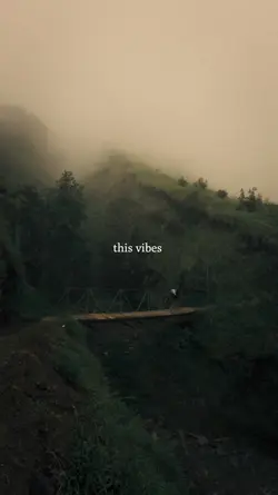This vibes 