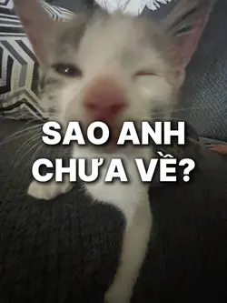 [1] dễ thươngg