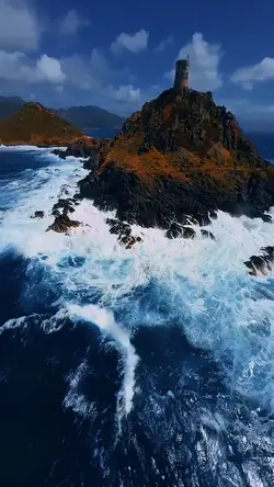 10 videos or photos