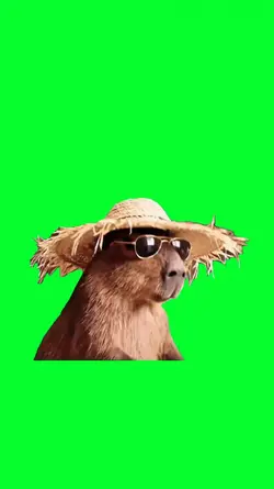 capybara