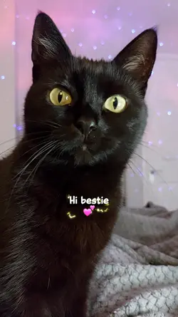 Hi bestie!