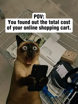 Online Shopping Shoc