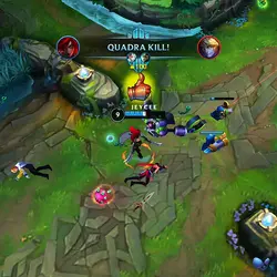WILDRIFT MONTAGE