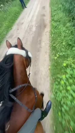 Älsklingen🤍