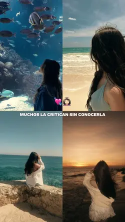 Todos la critican 