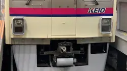 ライトテクニック…?