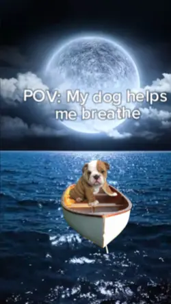 Boat meme 