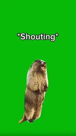 Shouting meme