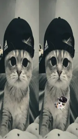 2 split screen