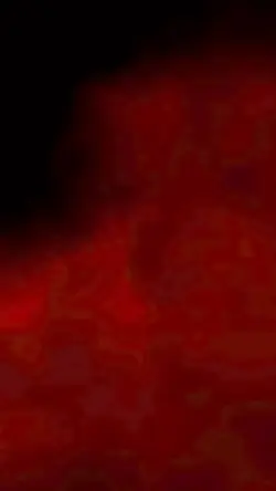 Red Smoke 