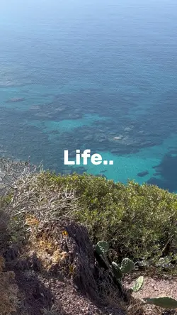 Life..