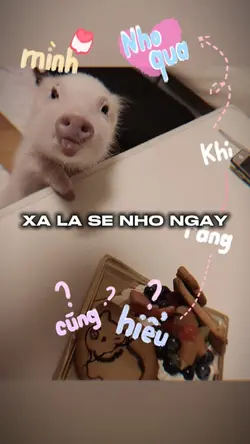 xa la se nho ngay