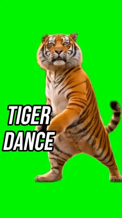 Tiger dance