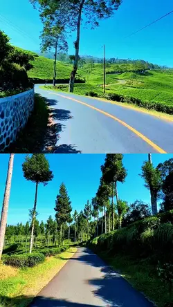 2 video 1 frame