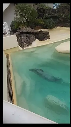 aquarium 