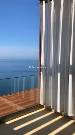little moments🐬