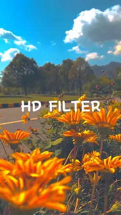 Cinematic Aesthetic 