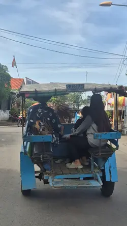 naik delmam/kuda 