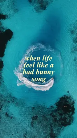 like bad bunny song