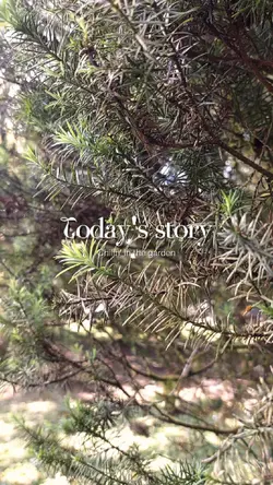 Mini Vlog