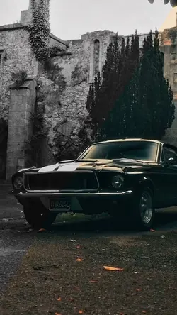 Mustang 🔥