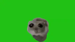 sad hamster meme