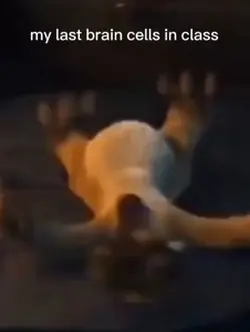 The last brain cells
