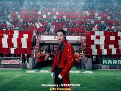 MV FANCAM