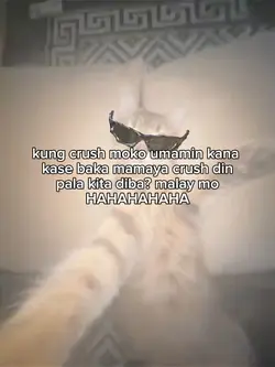 kung crush moko
