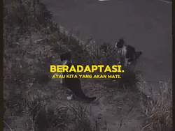 beradaptasi. 