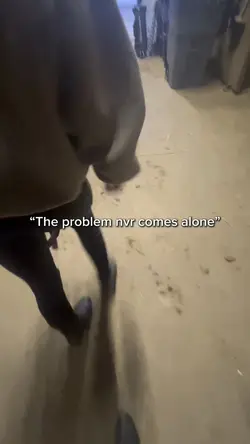 The problem 