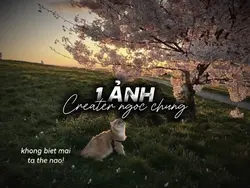 Mẫu 1 ảnh