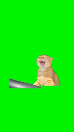 Singing Driving Cat