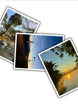 3Pic Trend Aesthetic