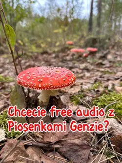🍄🍄