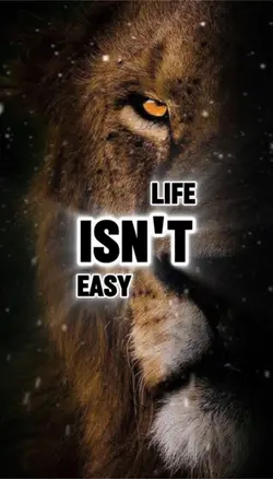 Life isn’t easy