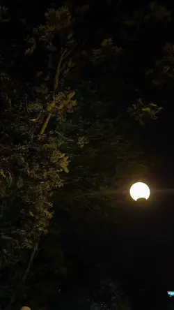 gulu pedot lirik