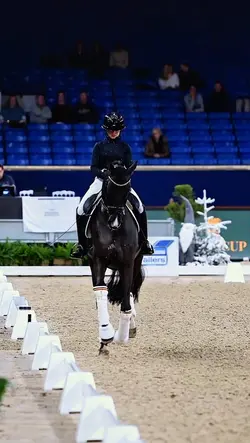 equestrianedit
