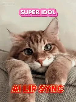 SUPER IDOL
