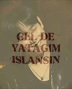 islansin